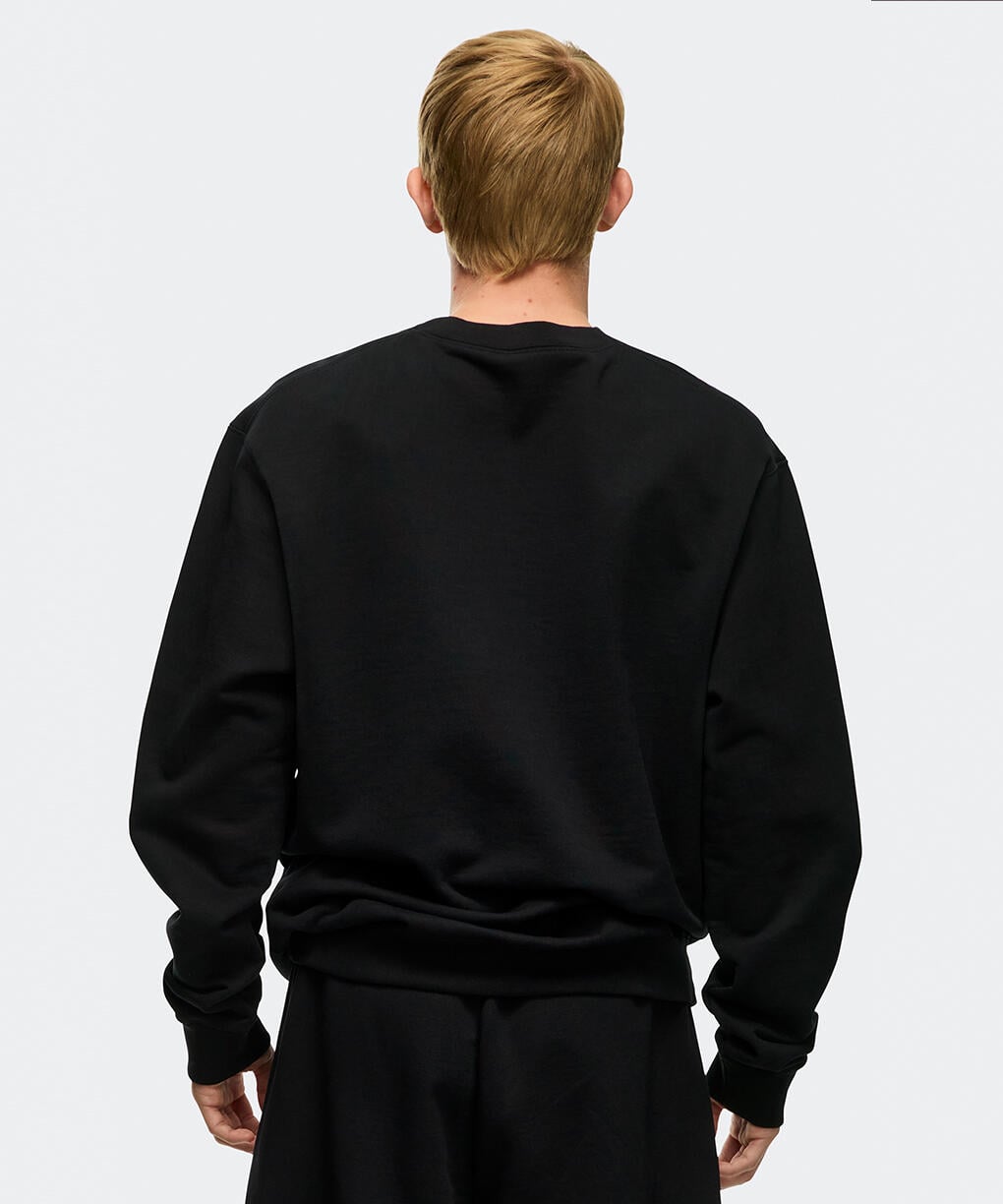 1538UCD1_detail_635_06