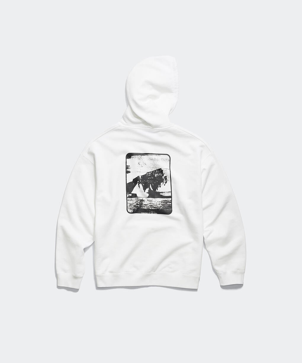 1539UCD2_detail_697_09