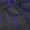 Khaki/Crown Blue/Black Bark