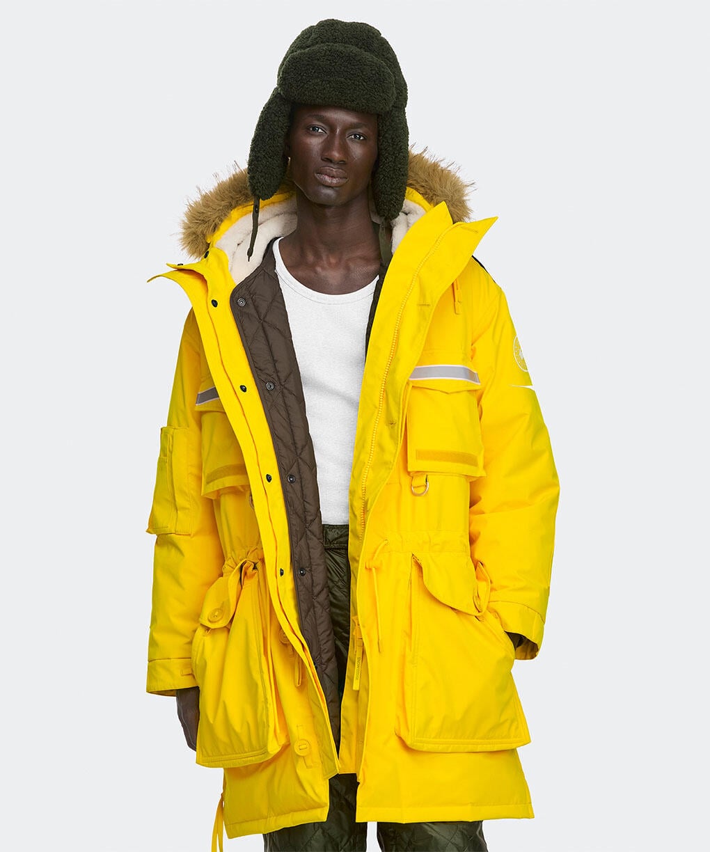 Goldenrod