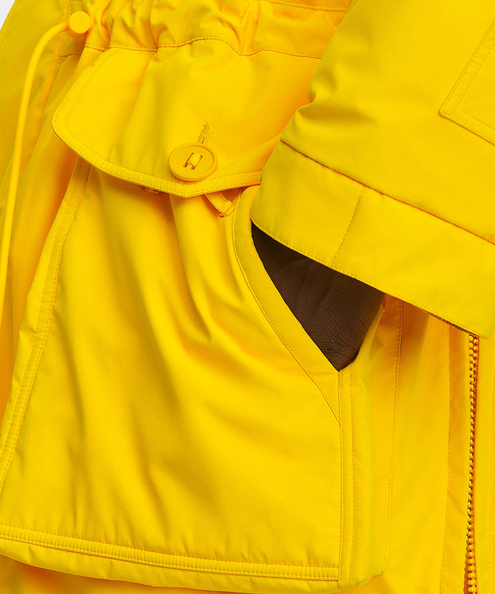 Goldenrod