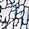 Black/White/Bluebell Bark