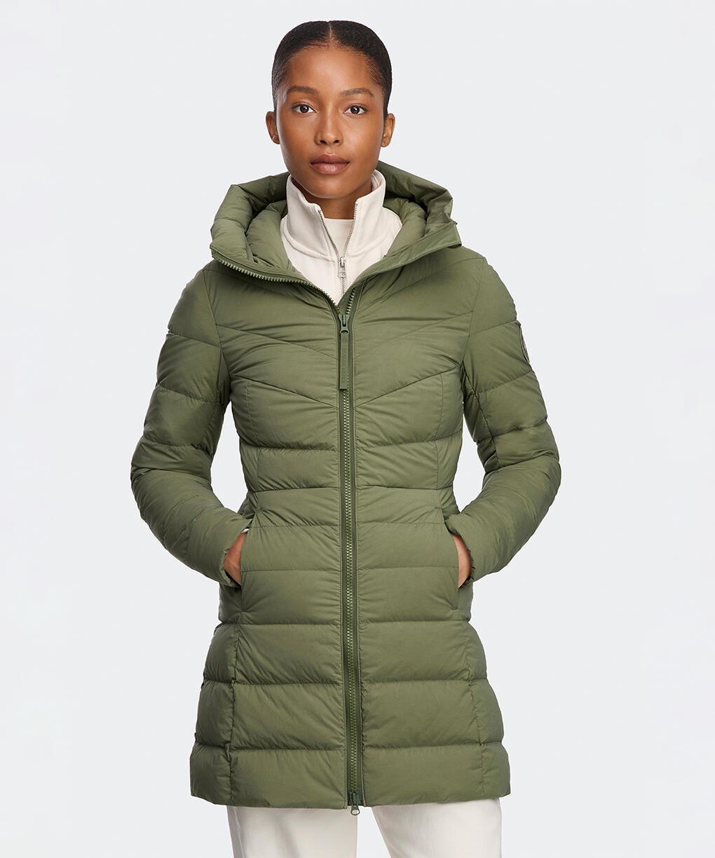 Vireo Green