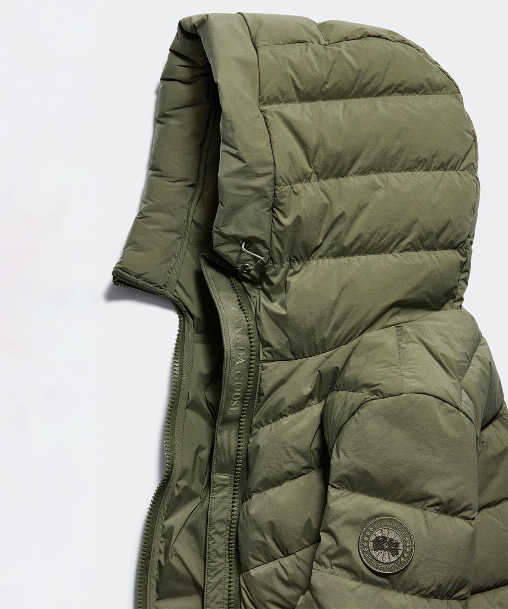 Vireo Green