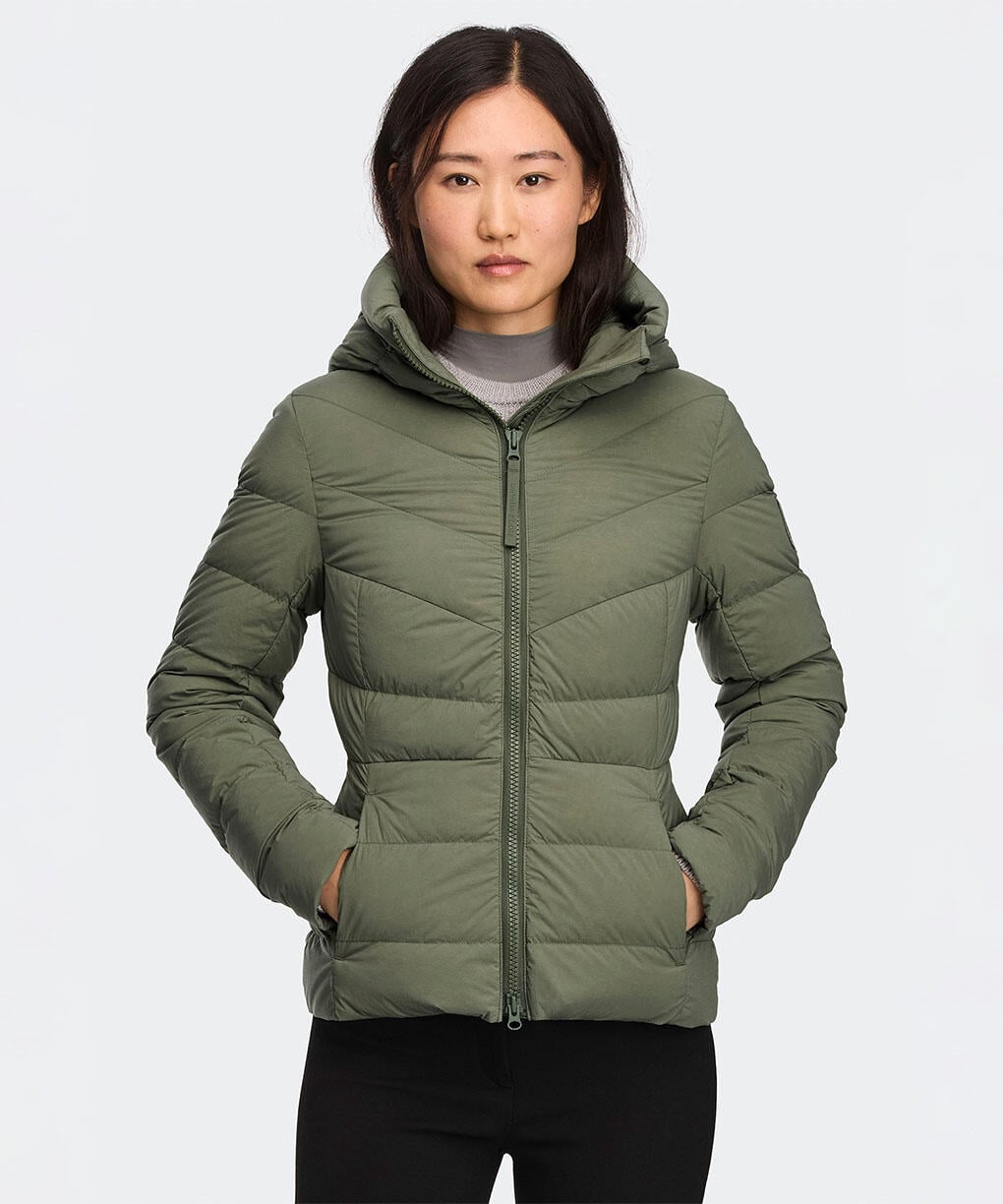 Vireo Green