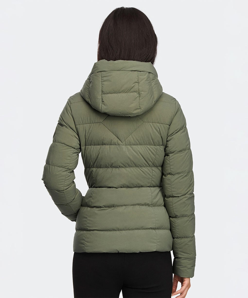 Vireo Green