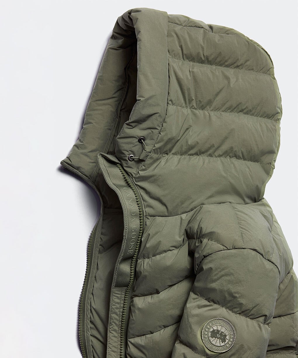 Vireo Green