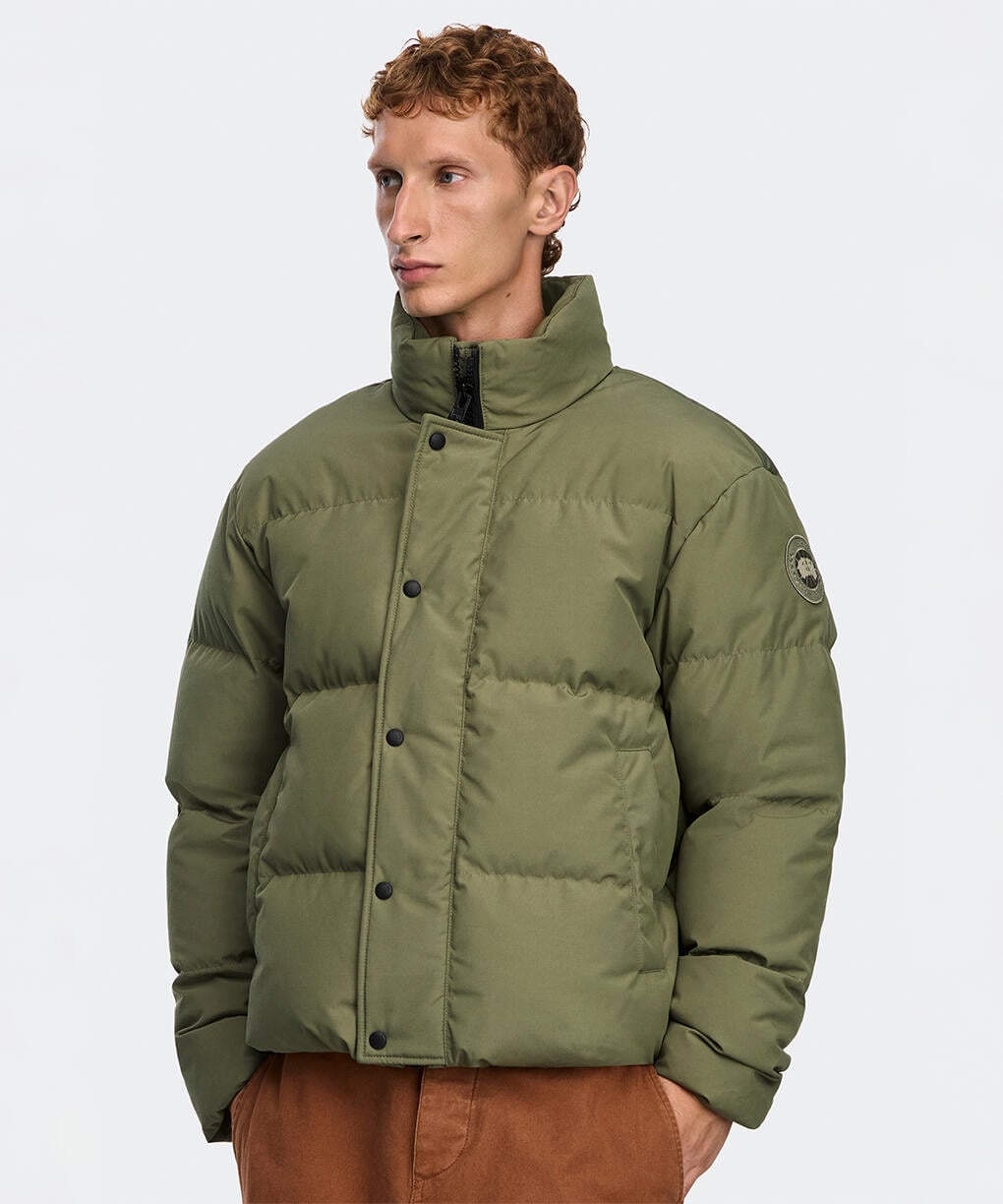 Vireo Green