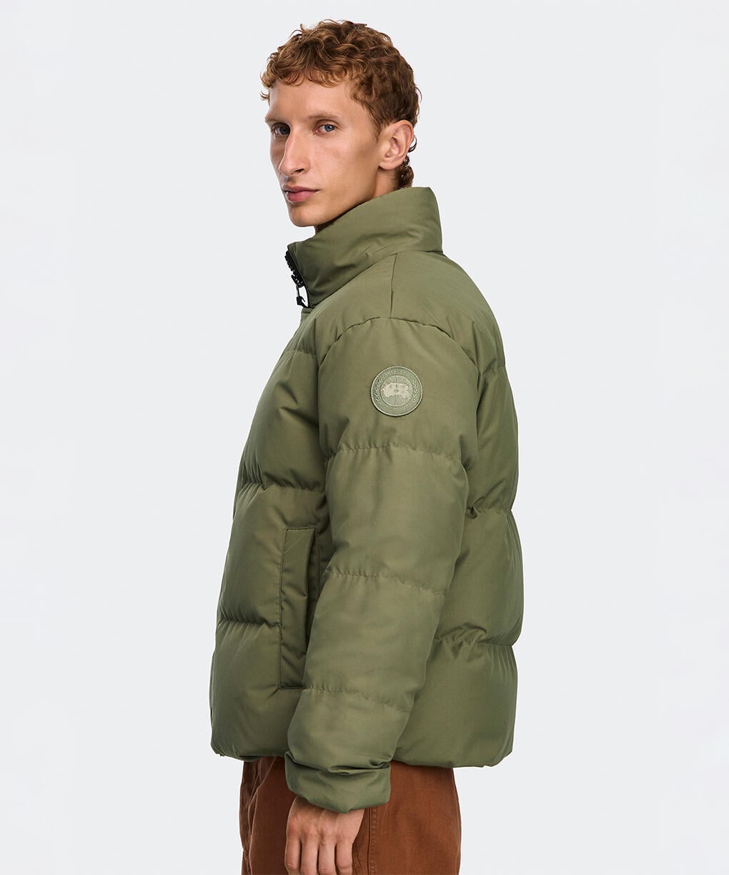 Vireo Green