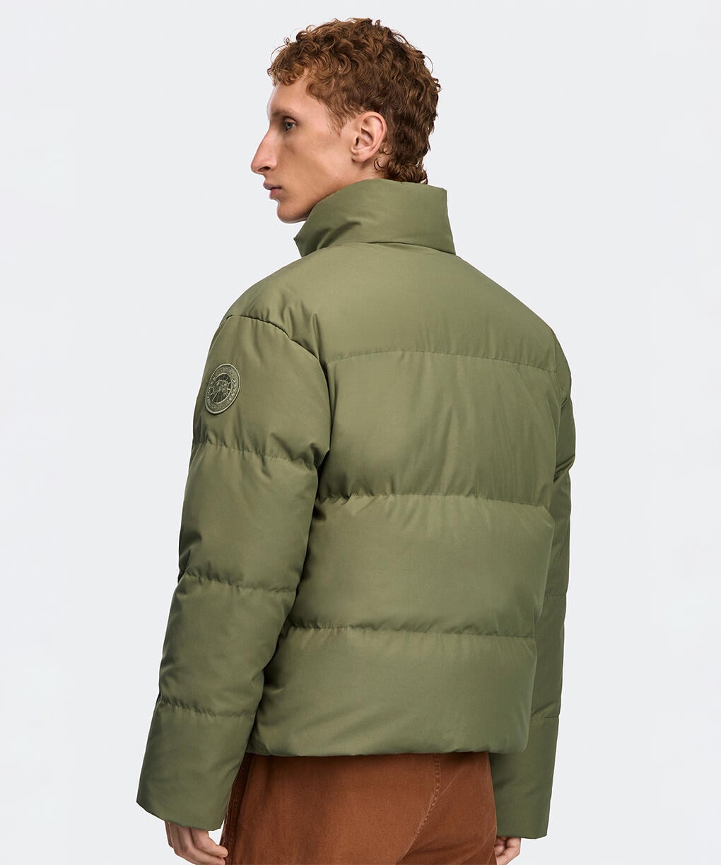 Vireo Green