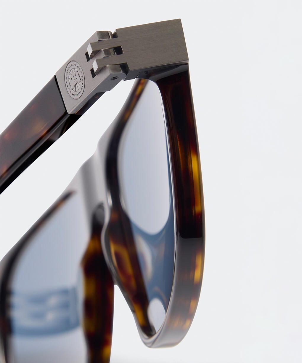 Dark Havana/Solid Solid