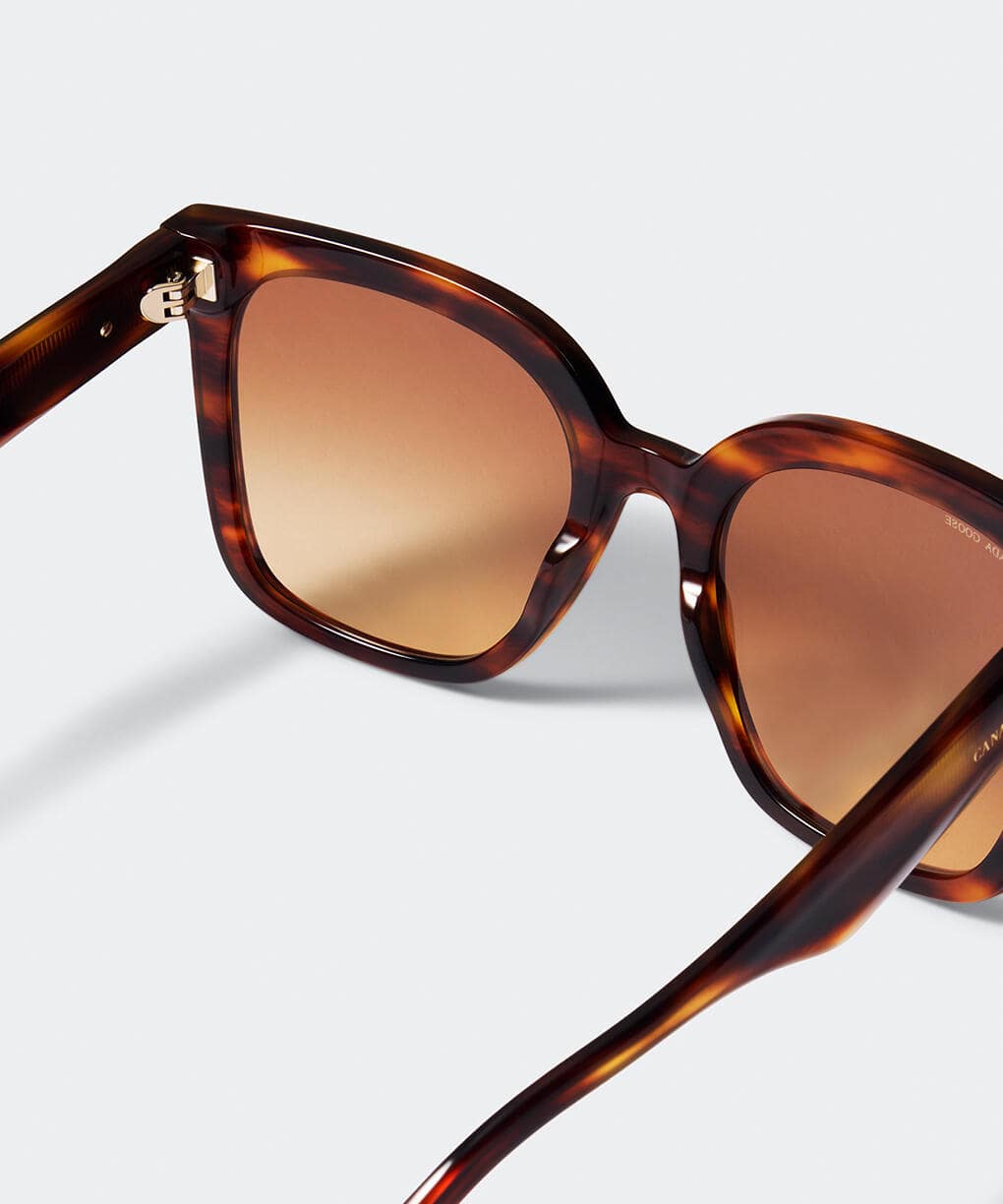 Havana/Gradient Brown