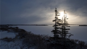 【Goose Style】Vol.8 【Goose Style】Vol.8