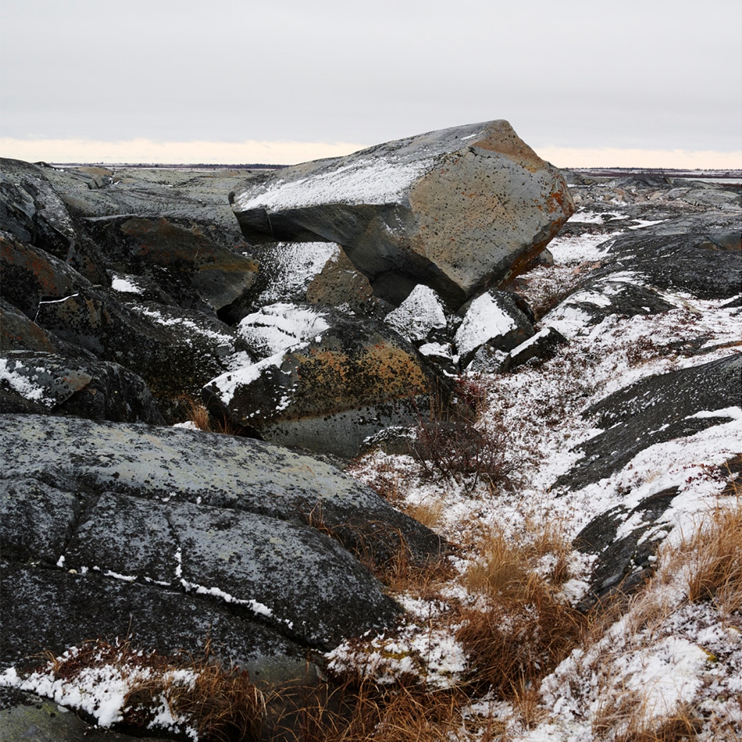 FW25コレクション{/}white