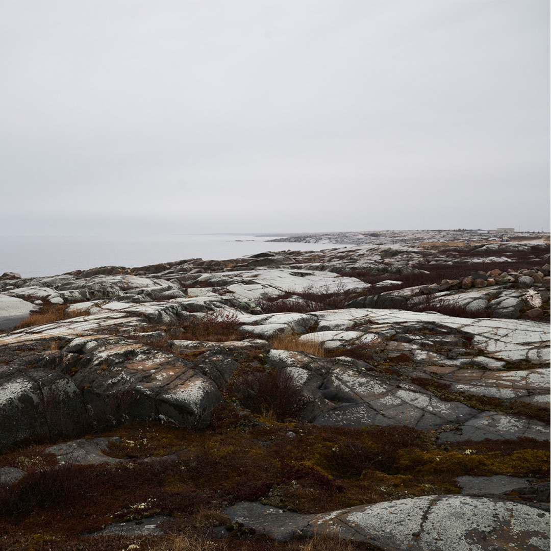 FW25コレクション{/}white