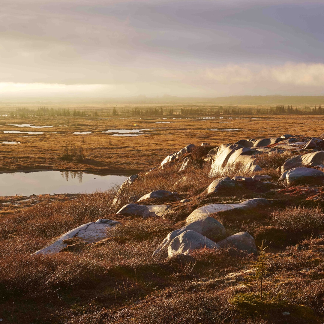 アパレル{/}white