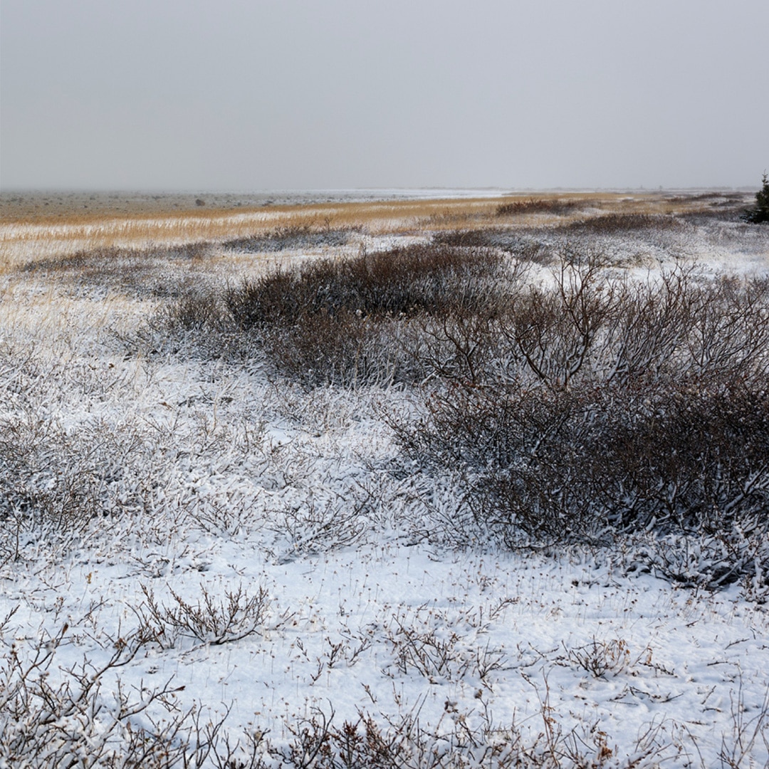 アウターウェア