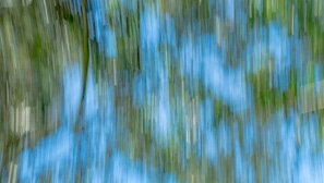 【Goose Style】Vol.12