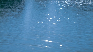 【Goose Style】Vol.13