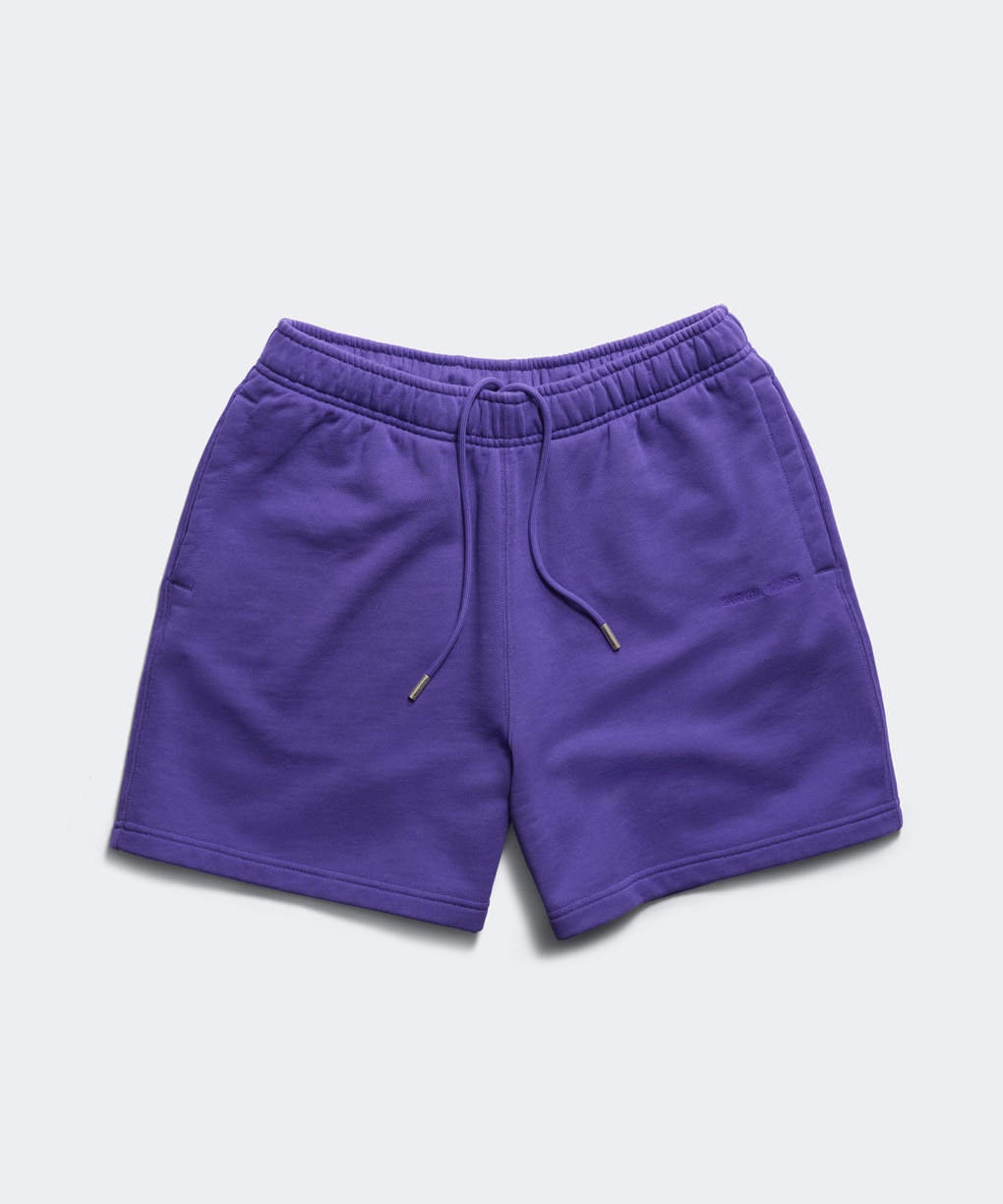 Vibrant Lilac