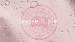 GooseStyle Vol.16